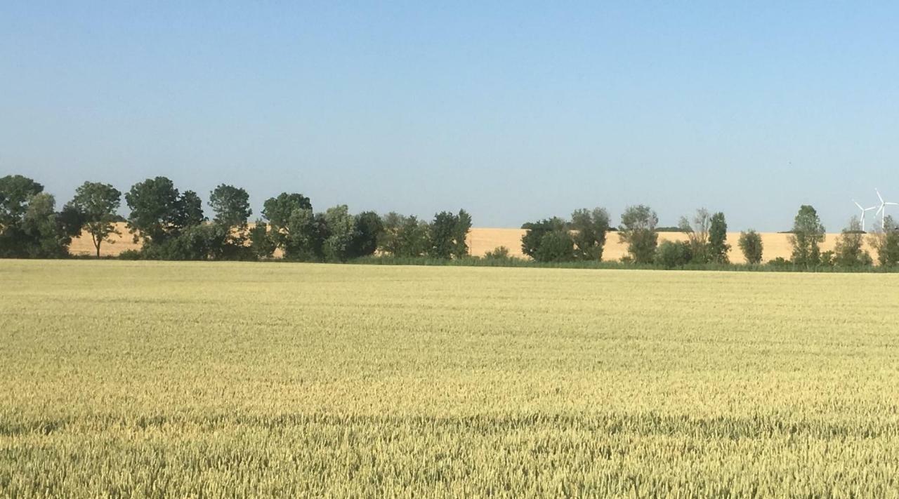 Ferienwohnung Walkershofen Simmershofen Zewnętrze zdjęcie